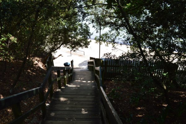 vilagutazok gondolatai Uj-Zelandrol